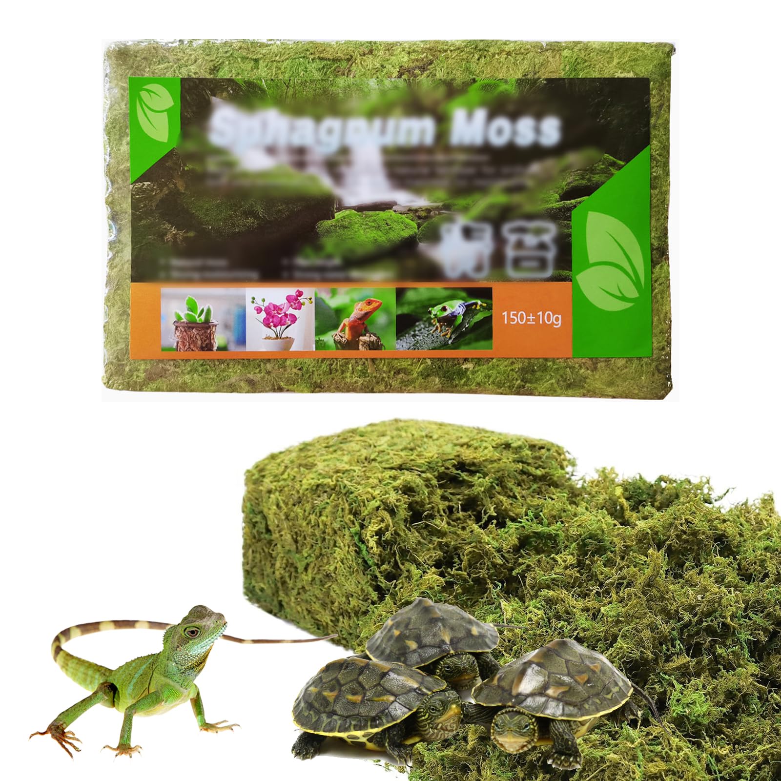 Amazon | Doyime 水苔 圧縮水苔 150g 土壌改良材 水耕用肥料蘭用